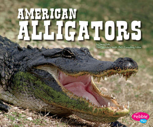 Book cover of American Alligators (North American Animals Ser.)