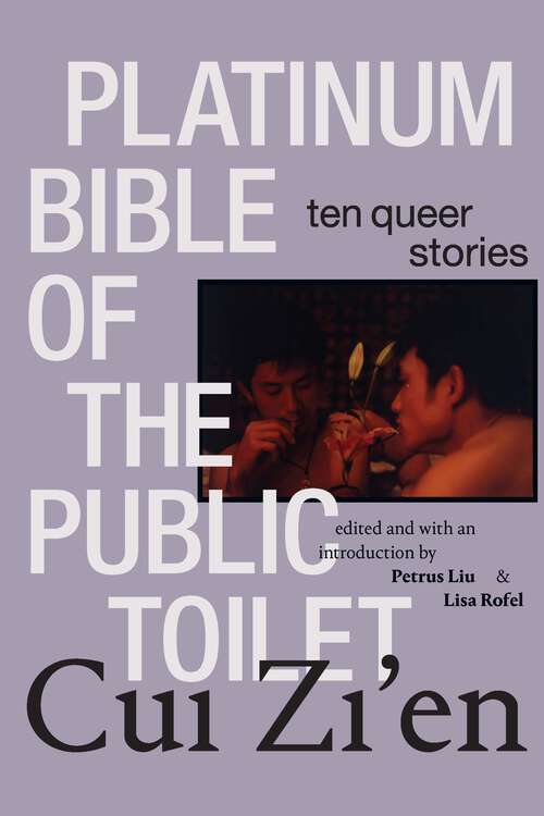 Book cover of Platinum Bible of the Public Toilet: Ten Queer Stories (Sinotheory)