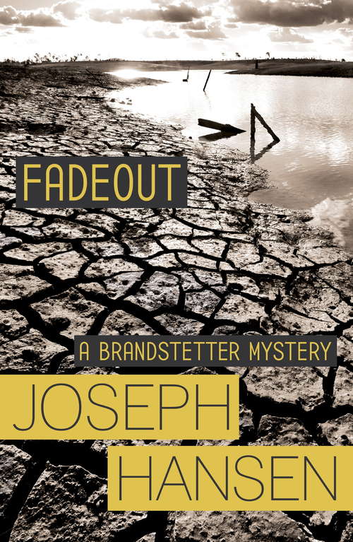 Book cover of Fadeout (Dave Brandstetter #1)