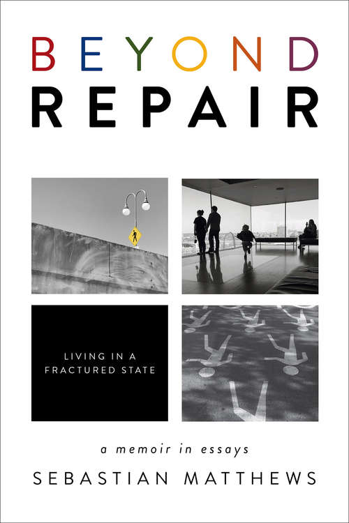 Book cover of Beyond Repair: Living in a Fractured State