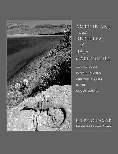 Book cover of Amphibians and Reptiles of Baja California, Including Its Pacific Islands and the Islands in the Sea of Cortés