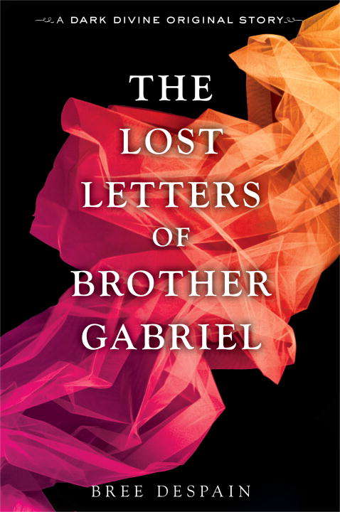 Book cover of The Lost Letters of Brother Gabriel