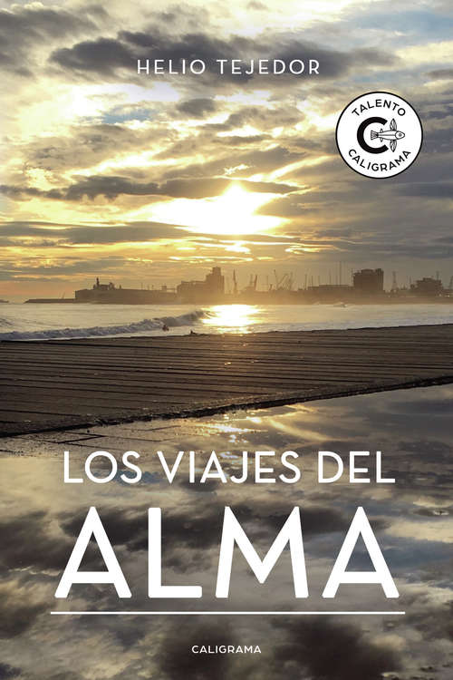 Book cover of Los viajes del alma