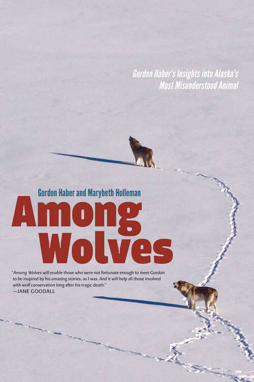 Book cover of Among Wolves: Gordon Haber's Insights into Alaska's Most Misunderstood Animal