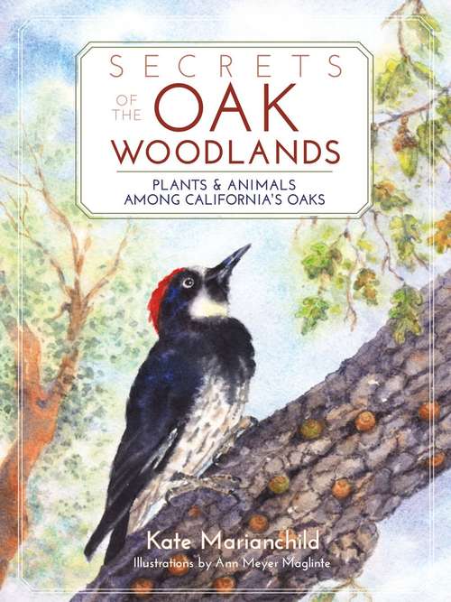Book cover of Secrets of the Oak Woodlands: Plants and Animals Among California's Oaks