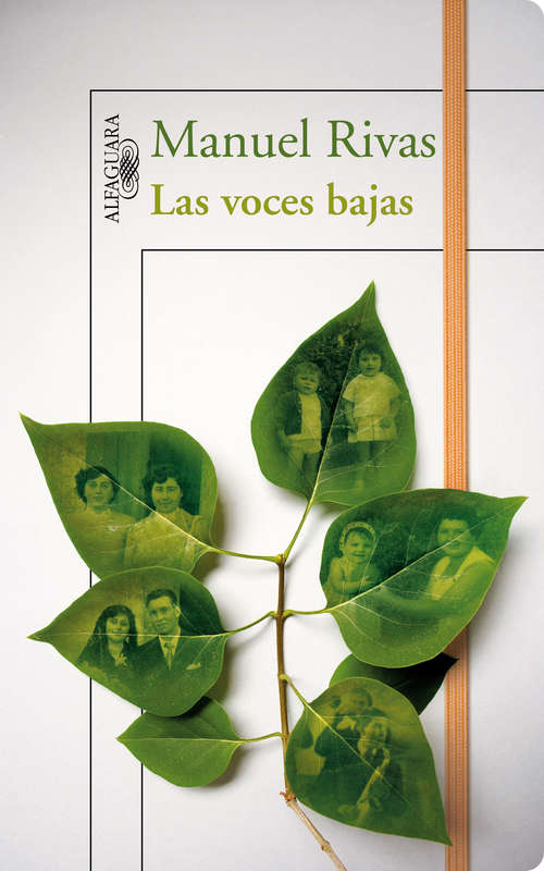 Book cover of Las voces bajas