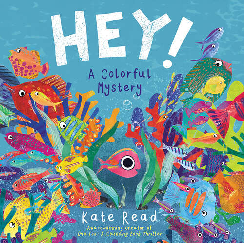 Book cover of Hey! A Colorful Mystery