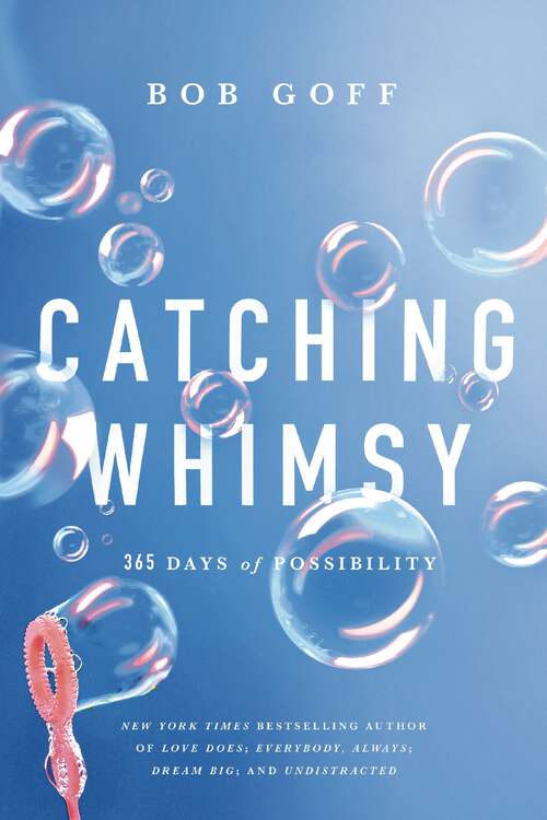 Book cover of Catching Whimsy: 365 Days of Possibility