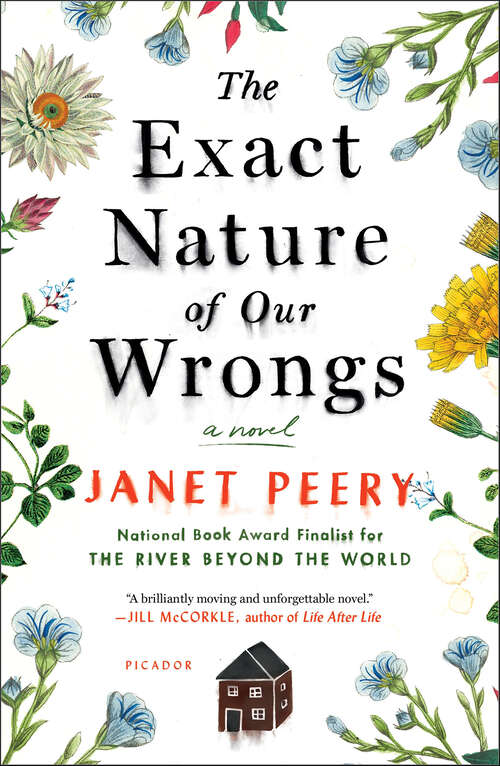 Book cover of The Exact Nature of Our Wrongs: A Novel