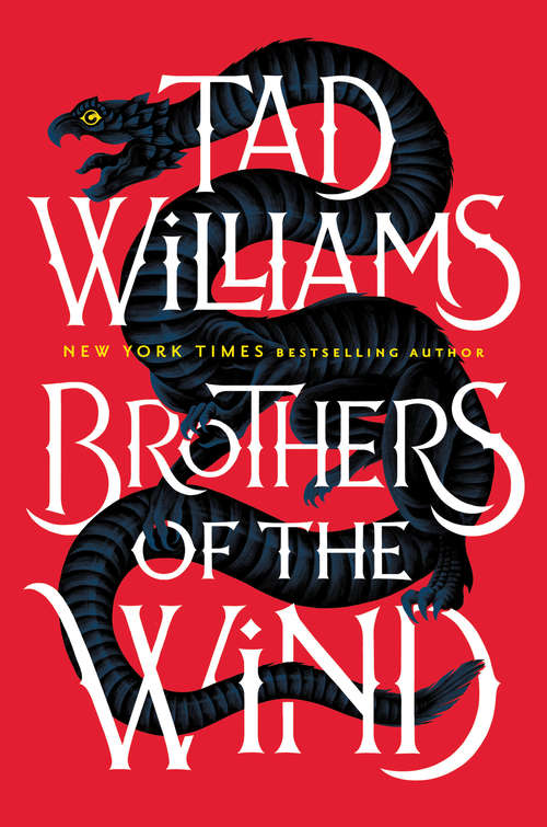 Book cover of Brothers of the Wind
