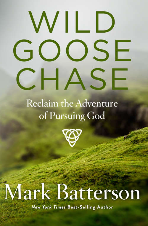 Book cover of Wild Goose Chase: Reclaim the Adventure of Pursuing God