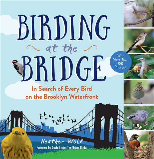 Book cover of Birding at the Bridge: In Search of Every Bird on the Brooklyn Waterfront