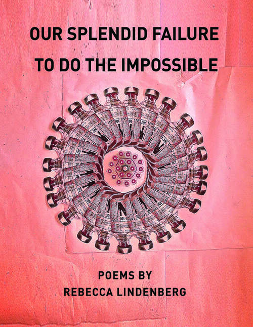 Book cover of Our Splendid Failure to Do the Impossible