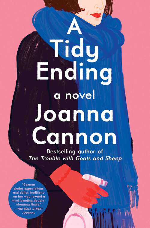 Book cover of A Tidy Ending: A Novel