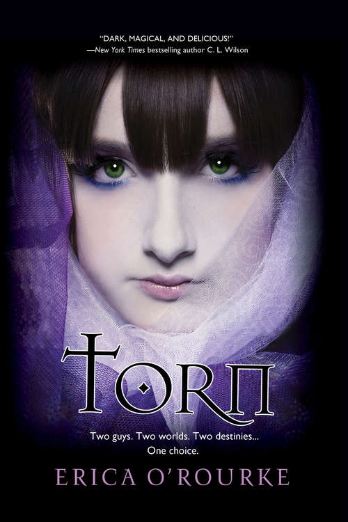 Book cover of Torn (Torn #1)