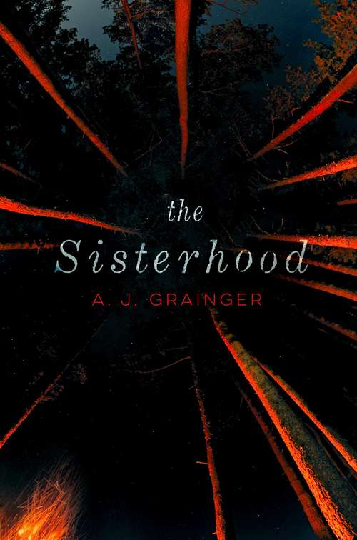 Book cover of The Sisterhood