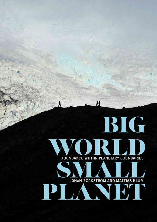 Book cover of Big World, Small Planet: Abundance Within Planetary Boundaries