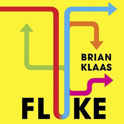 Book cover of Fluke: Chance, Chaos, and Why Everything We Do Matters