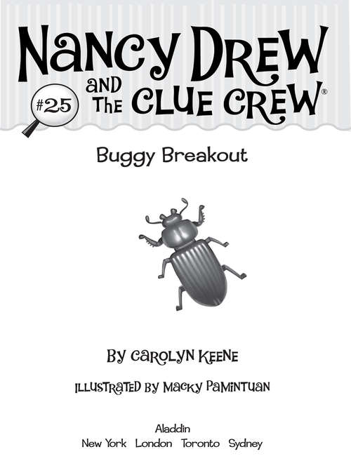 Book cover of Buggy Breakout (Nancy Drew and the Clue Crew #25)