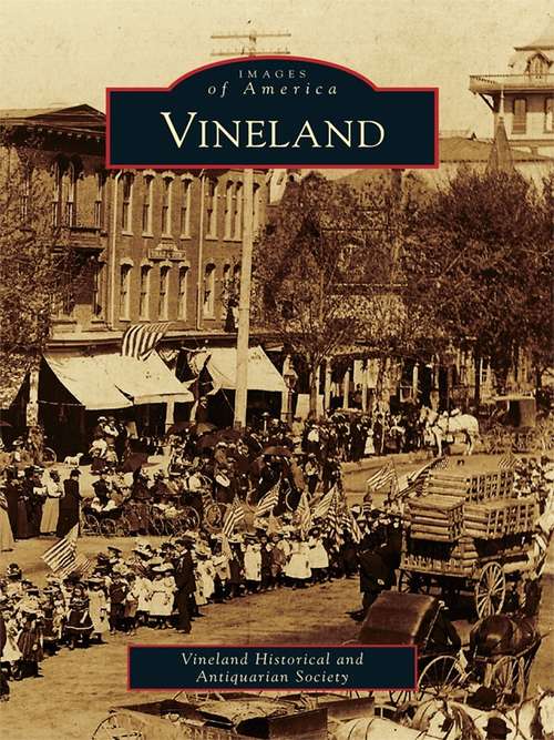 Book cover of Vineland