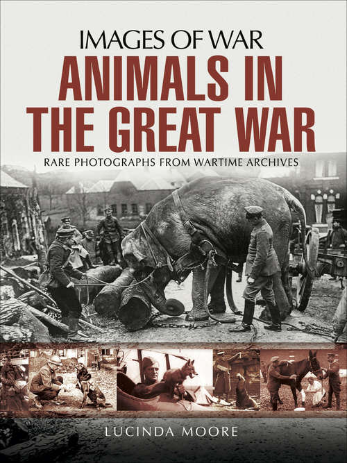 Book cover of Animals in the Great War (Images of War)