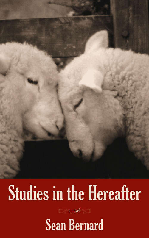 Book cover of Studies in the Hereafter: A Novel