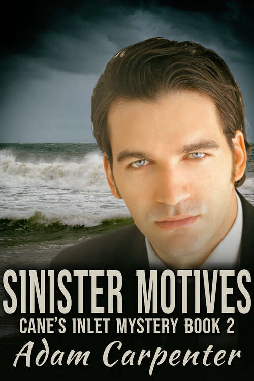 Book cover of Sinister Motives
