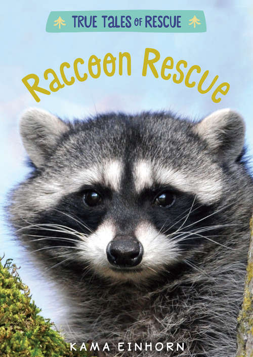 Book cover of Raccoon Rescue (True Tales of Rescue)