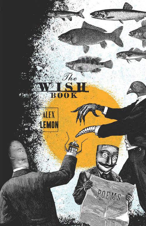 Book cover of The Wish Book