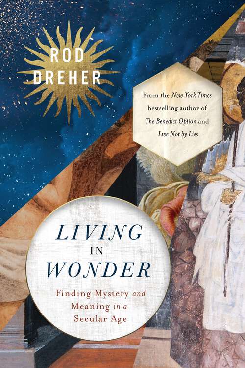 Book cover of Living in Wonder: Finding Mystery and Meaning in a Secular Age