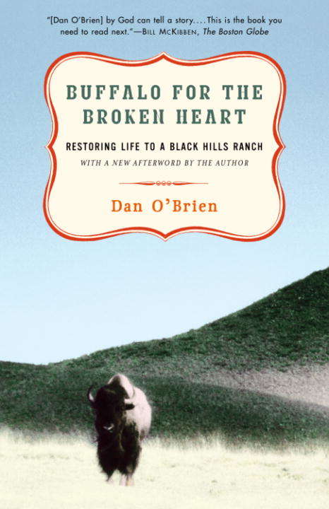 Book cover of Buffalo for the Broken Heart: Restoring LIfe to a Black Hills Ranch