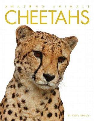 Book cover of Cheetahs (Amazing Animals)