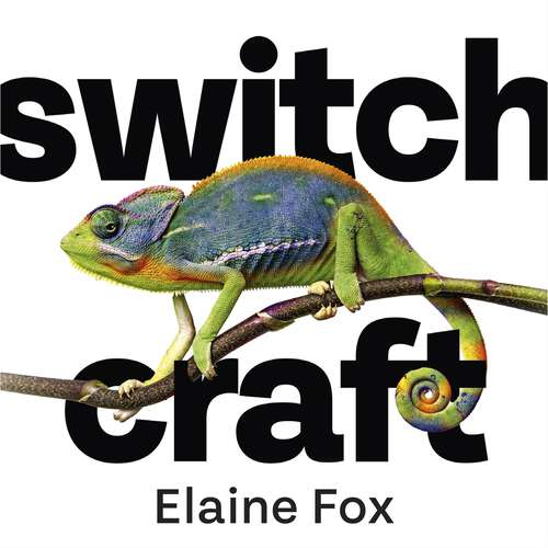 Book cover of Switchcraft: How Agile Thinking Can Help You Adapt and Thrive