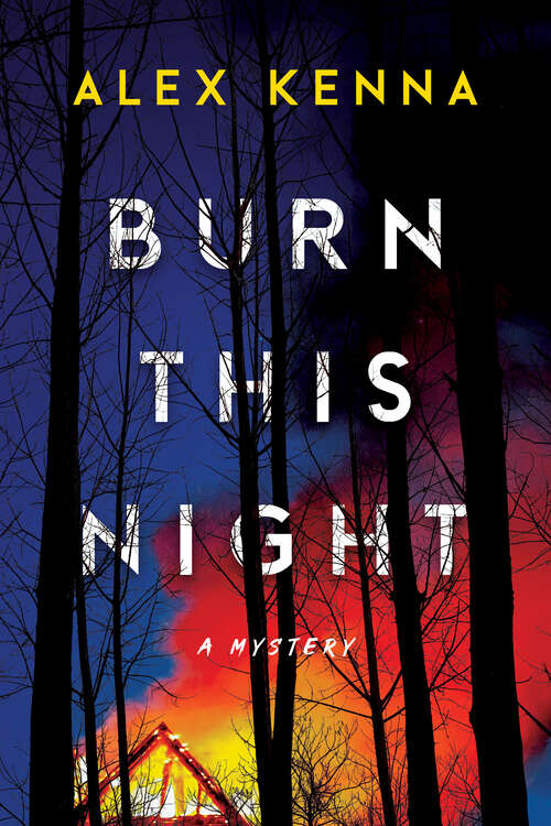 Book cover of Burn this Night: A Mystery