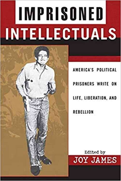 Book cover of Imprisoned Intellectuals: America's Political Prisoners Write on Life, Liberation, and Rebellion (Transformative Politics Series)