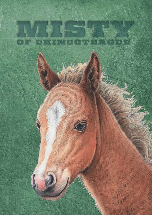 Book cover of Misty of Chincoteague: Benjamin West And His Cat Grimalkin; Black Gold; Born To Trot; Brighty; Brown Sunshine; Cinnabar; Gaudenzia; Justin Morgan; King Of The Wind; Misty Of Chincoteague; Misty's Twilight; Mustang; Sea Star; Stormy; San Domingo; White Stallion Of Lipizza (60) (Misty of Chincoteague #1)