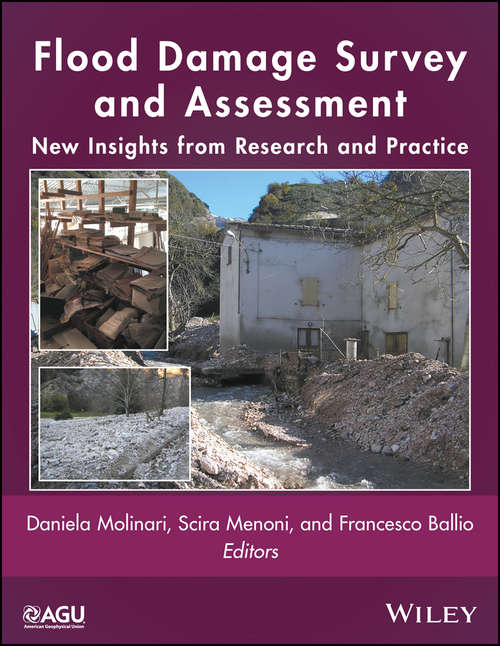 Book cover of Flood Damage Survey and Assessment: New Insights from Research and Practice