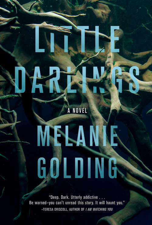 Book cover of Little Darlings: A Novel
