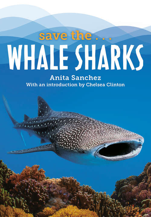 Book cover of Save the...Whale Sharks (Save the...)
