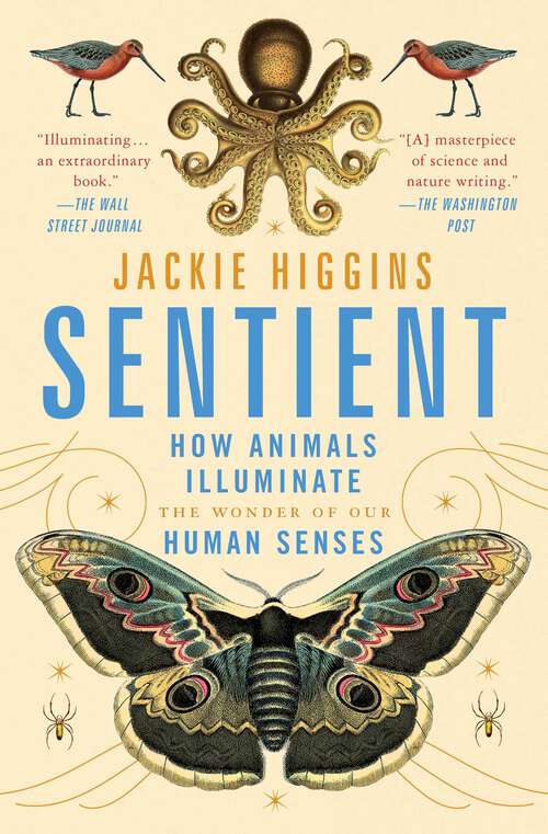 Book cover of Sentient: How Animals Illuminate the Wonder of Our Human Senses