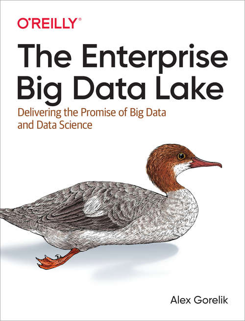 Book cover of The Enterprise Big Data Lake: Delivering the Promise of Big Data and Data Science