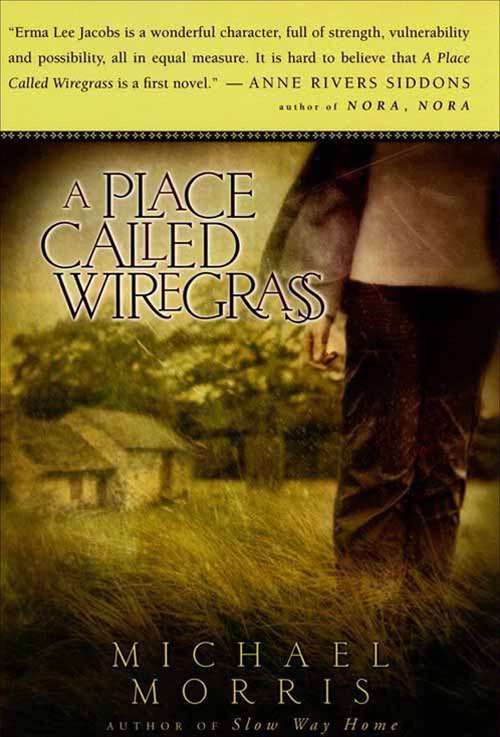 Book cover of A Place Called Wiregrass