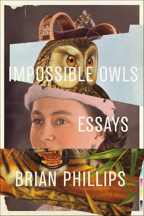 Book cover of Impossible Owls: Essays