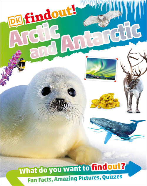 Book cover of DKFindout! Arctic and Antarctic (DK findout!)