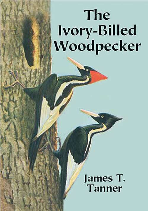 Book cover of The Ivory-Billed Woodpecker (Dover Birds Ser.)