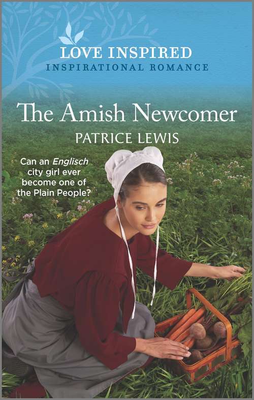 Book cover of The Amish Newcomer (Original)