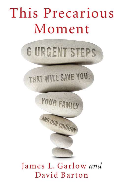 Book cover of This Precarious Moment: Six Urgent Steps that Will Save You, Your Family, and Our Country