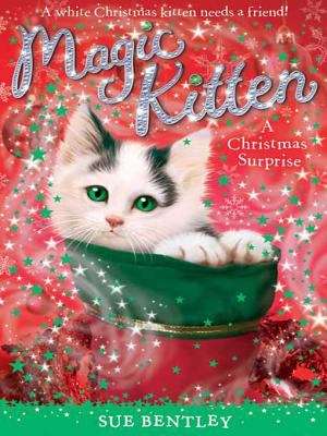 Book cover of A Christmas Surprise