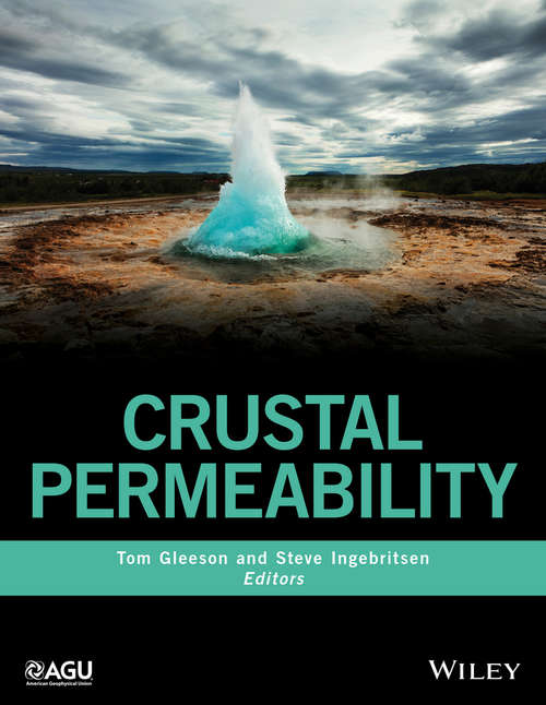 Book cover of Crustal Permeability