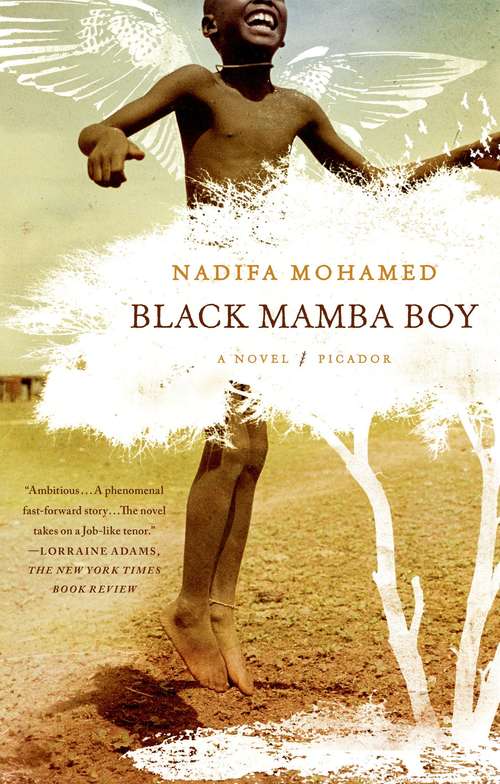 Book cover of Black Mamba Boy